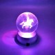 3D At Temalı Işıklı Cam Küre