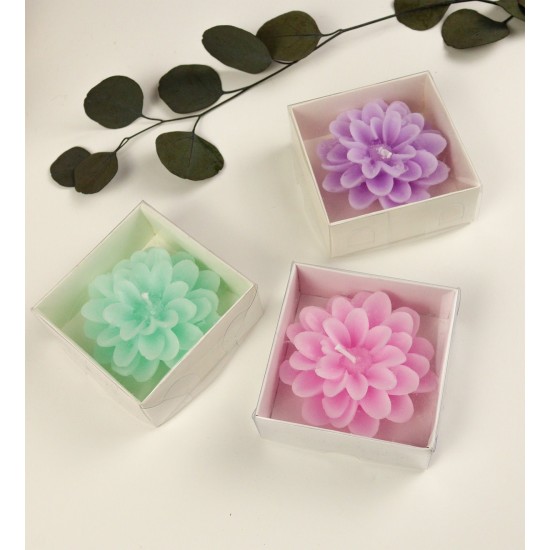 Kedili Otomatik Renk Değiştiren Işıklı Müzikli Kar Küresi & Peluş Ayıcık Ve Lotus Mum Özel Kutulu He